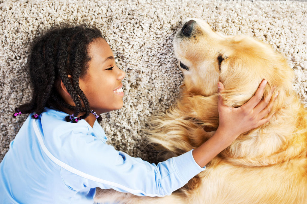 Sacramento Pet Carpet Cleaning