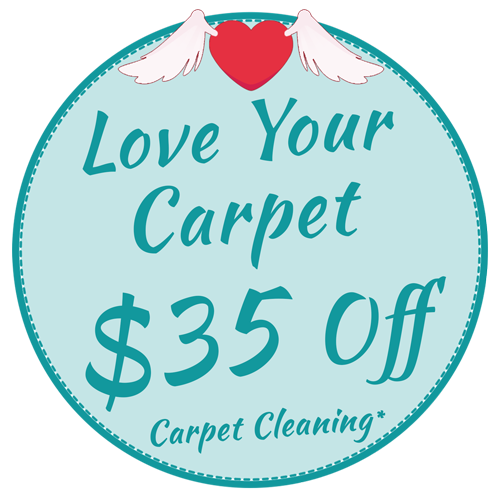 Lover Your Carpet $35 Off Sale